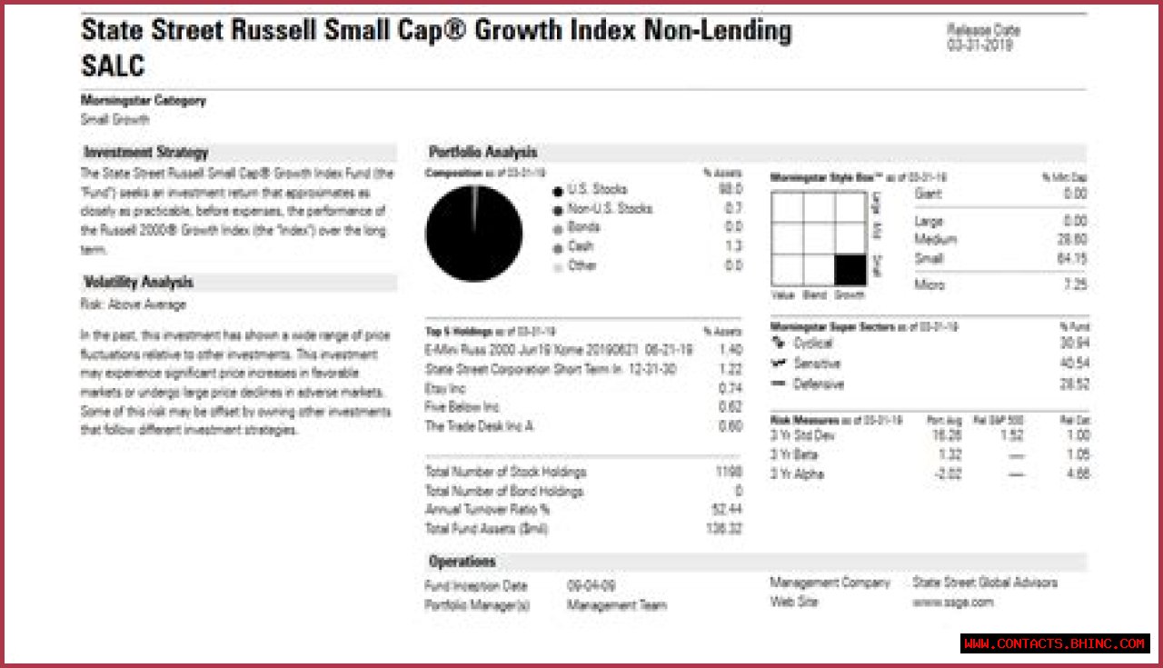 DELAWARE VIP SMALL CAP VALUE SERIES STANDARD CLASS