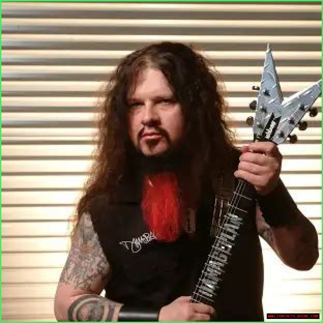 Dimebag Darrell Net Worth, Income, Salary, Earnings, Biography