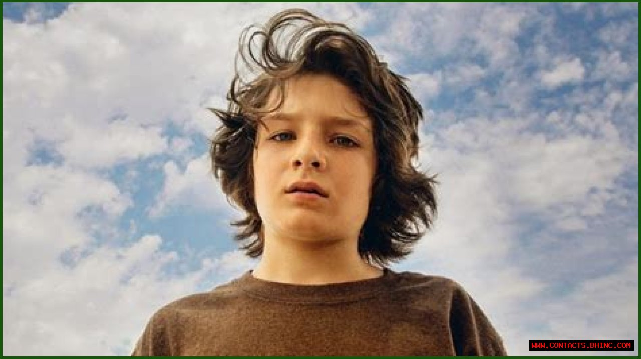 Explore Sunny Suljic Wiki Facts, How Old Is Sunny Suljic?