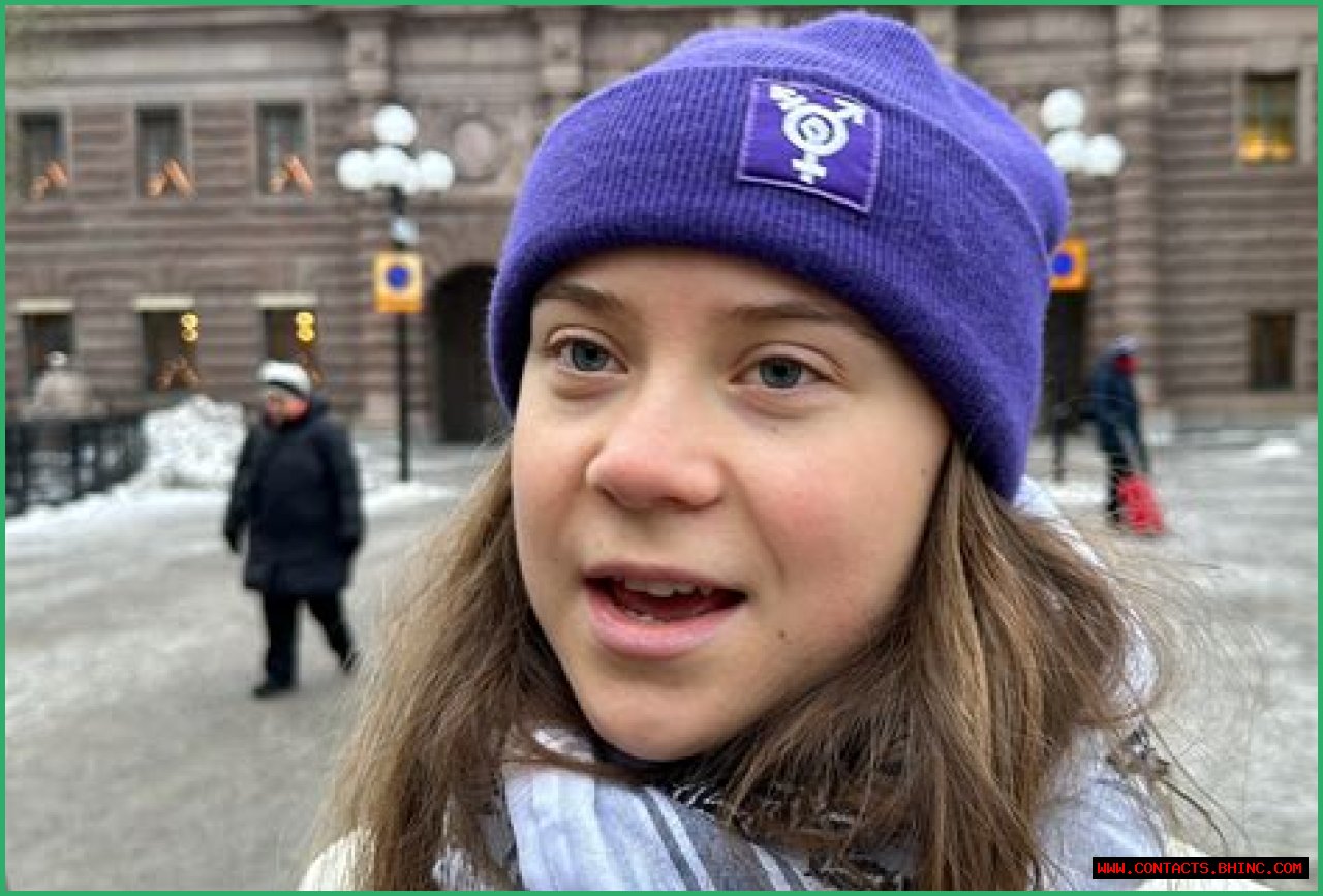 Greta Thunberg Is Being Meme'd by Climate Change Supporters and Deniers in Weird Internet Beef