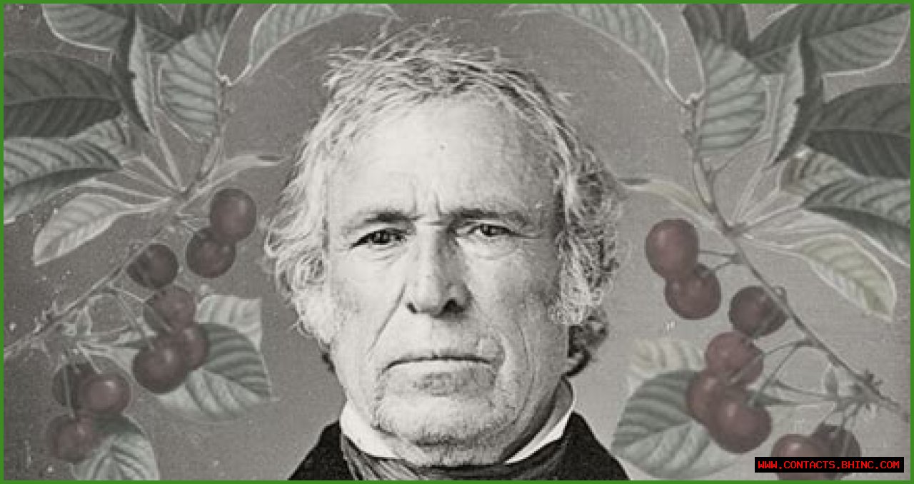How Cherries Are Tied To President Zachary Taylor's Death