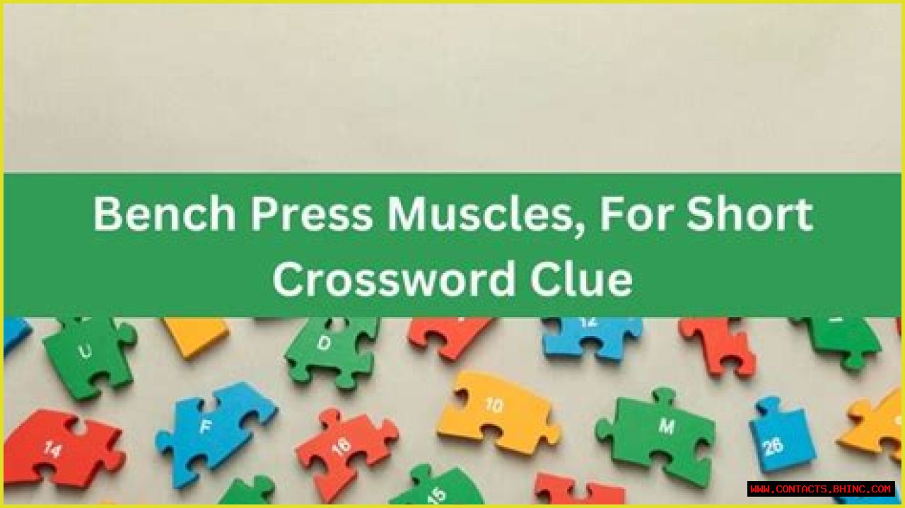 LA Times Back muscles, for short Crossword Clue Answers with 4 letters