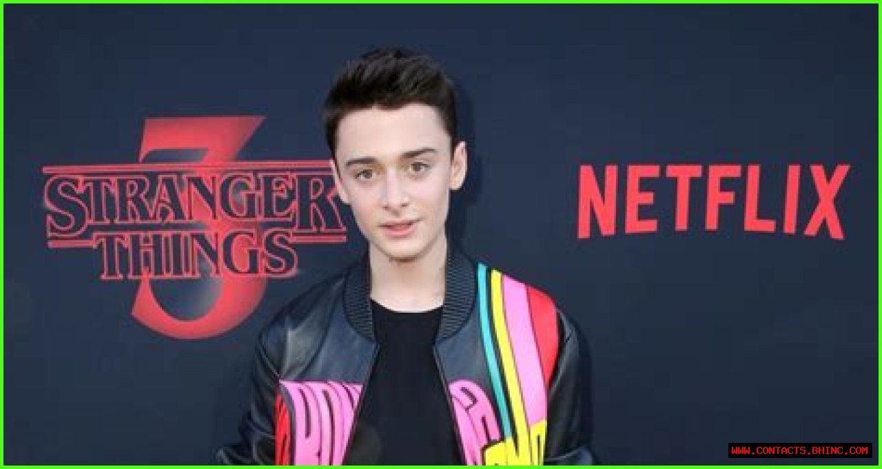 What Is Noah Schnapp's 'Roblox'? Find the Actor's Gaming Profile