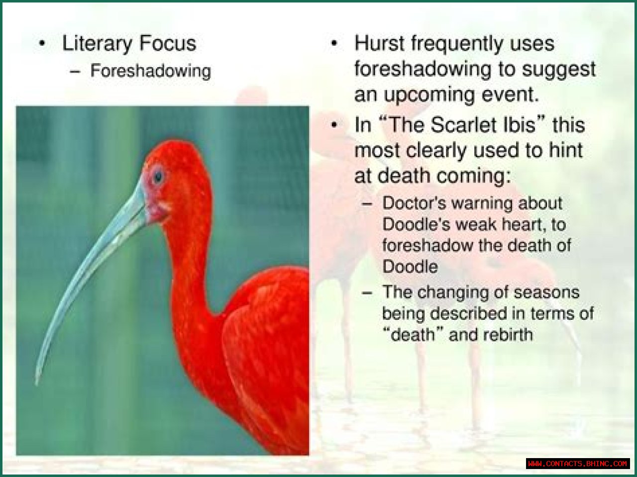 What literary devices are used in the scarlet ibis?